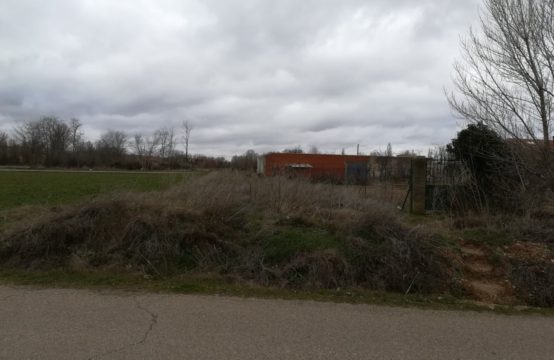 TIERRA RUSTICA EN VENTA POL.16 CAMINO DE SAN PEDRO CANTABURROS ARANDA DE DUERO